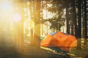 Benefits of summer camps